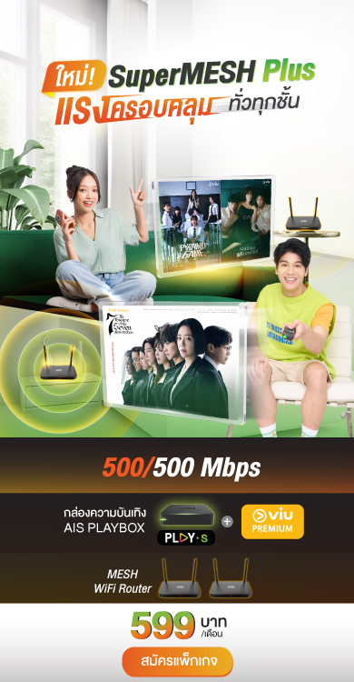 3bb SuperMESH plus  500 500